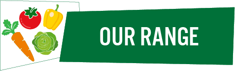 404 us